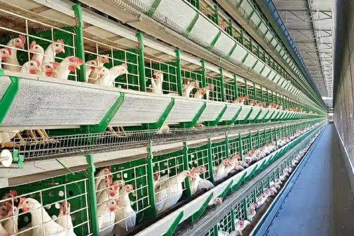 Granja-Santa-Maria-Bruno-Nandorf